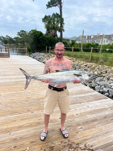 Extreme Chaos In Orange Beach