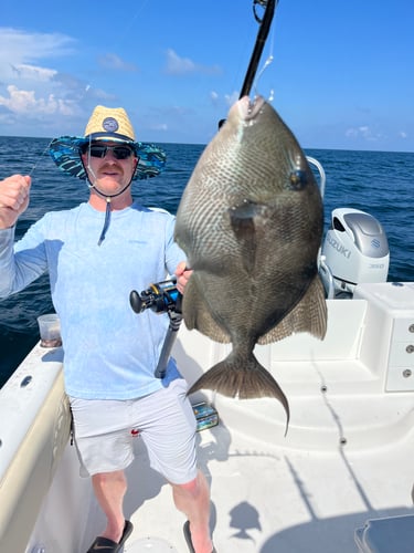 Extreme Chaos In Orange Beach