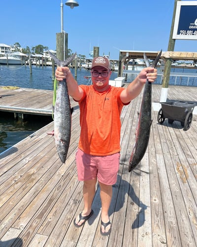 Extreme Chaos In Orange Beach