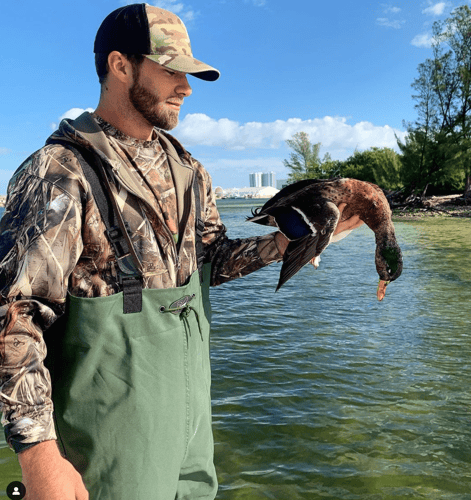 Duck Hunts In Tampa