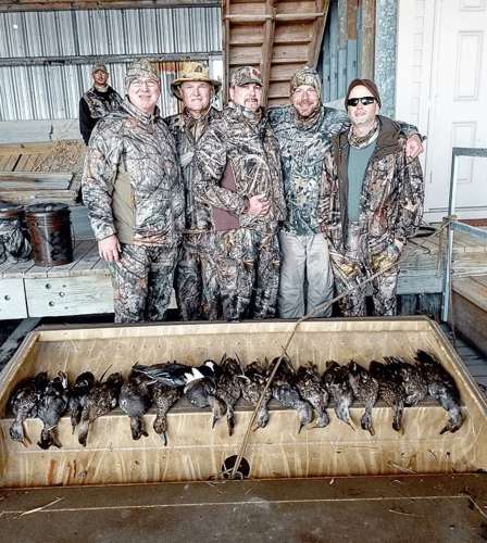 Lousiana Duck Hunts In Boothville-Venice