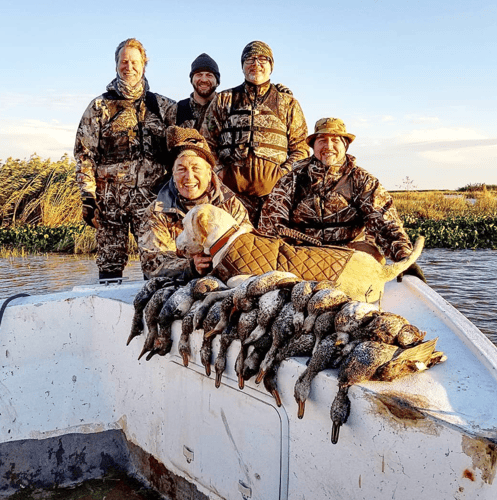 Lousiana Duck Hunts In Boothville-Venice