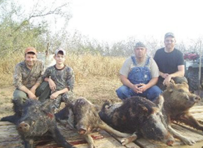 South Texas Hog Haul In Ozona