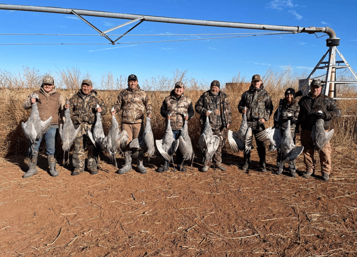 Crackin' Cranes With Lodging In Devol