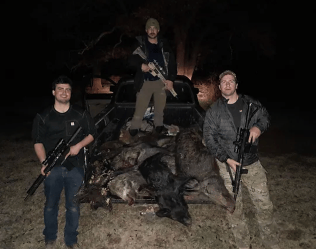 Texas Hog Harvest In Bowie