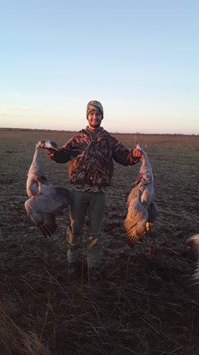 2 Day+ Sandhill Crane Hunts In Abilene