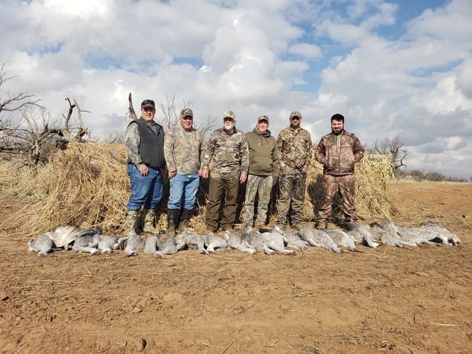 2 Day+ Sandhill Crane Hunts In Abilene