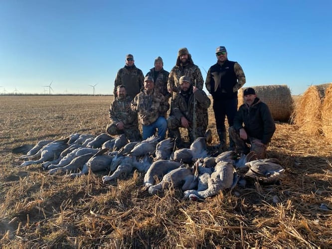 El Dorado Area Sandhill Crane Hunts In Eldorado