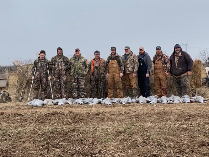 El Dorado Area Sandhill Crane Hunts In Eldorado