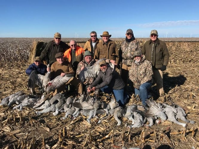 2 Day+ Sandhill Crane Hunts In Abilene