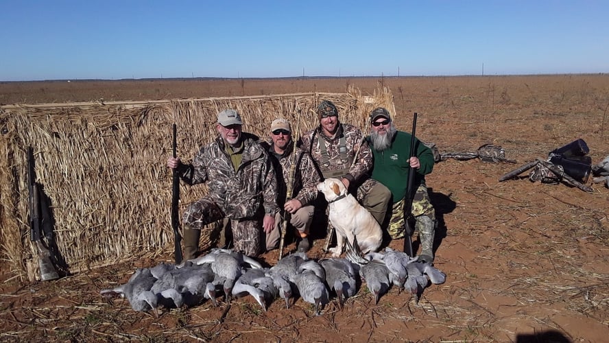 El Dorado Area Sandhill Crane Hunts In Eldorado