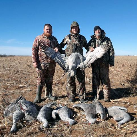 2 Day+ Sandhill Crane Hunts In Abilene