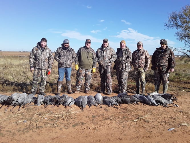 2 Day+ Sandhill Crane With Lodging In Abilene