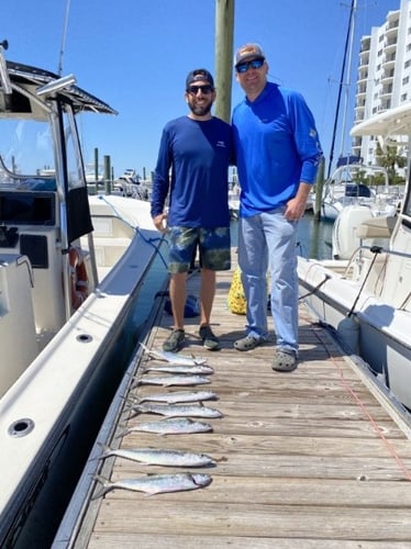 Nearshore Sportfish Roundup In Wrightsville Beach