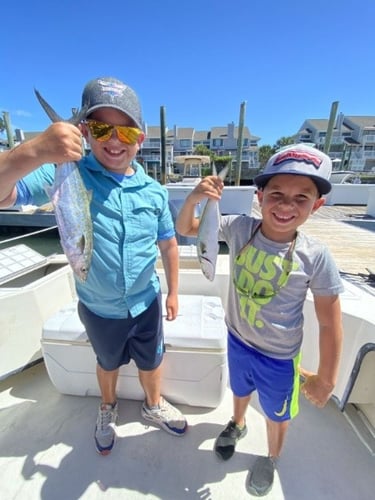 Nearshore Sportfish Roundup In Wrightsville Beach