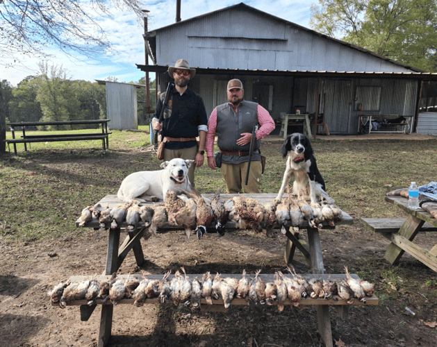 Texas Chukar Thrills In Gilmer