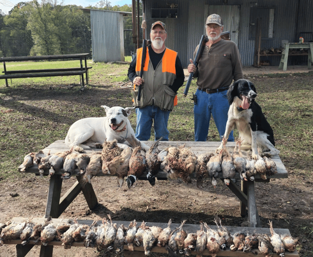 Texas Chukar Thrills In Gilmer