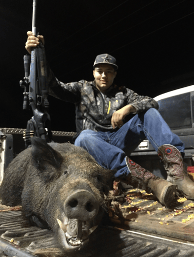 Hog Hunting Fun In Carrizo Springs