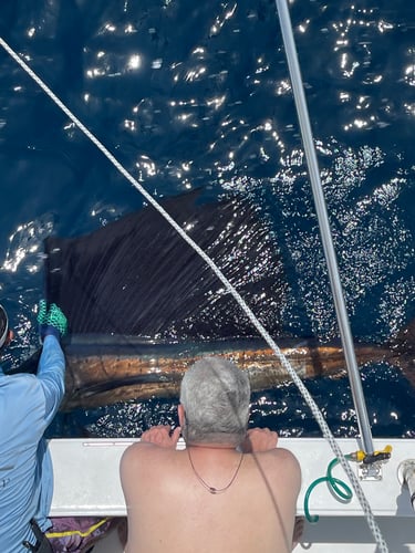 7 Hour Atrapasueños Sportfishing In Quepos