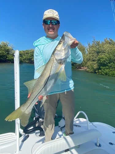 7 Hour Atrapasueños Sportfishing In Quepos