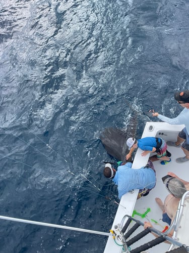 7 Hour Atrapasueños Sportfishing In Quepos