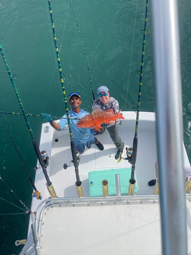 7 Hour Atrapasueños Sportfishing In Quepos