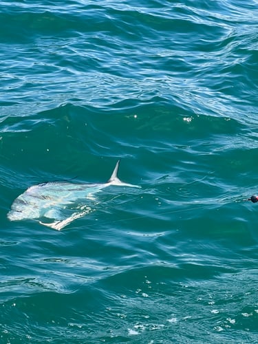 7 Hour Atrapasueños Sportfishing In Quepos