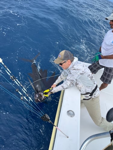 7 Hour Atrapasueños Sportfishing In Quepos