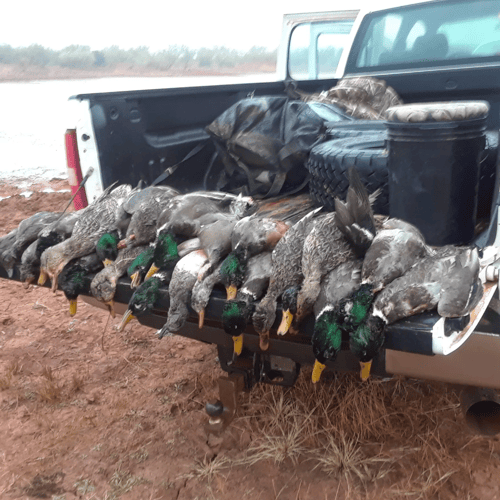 2 Day+ Duck Adventure With Lodging In Abilene