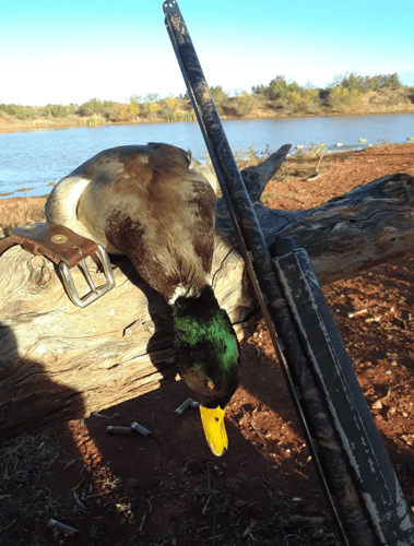 2 Day+ Duck Adventure With Lodging In Abilene