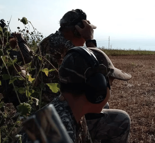 Texas Dove Thriller In Abilene