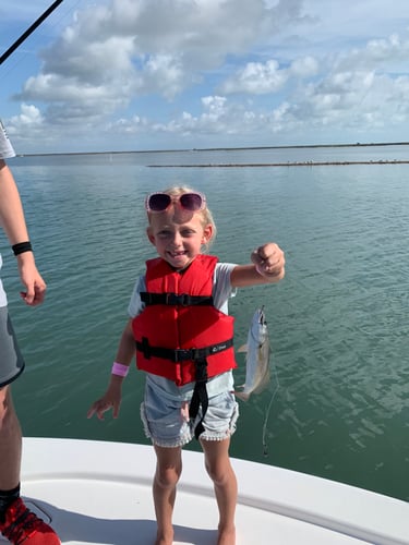Port Aransas, Texas In Port Aransas