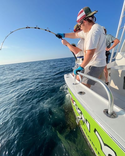 Shark Fishing Charter In Destin