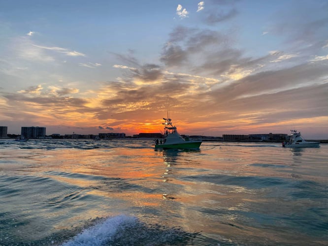 Shark Fishing Charter In Destin