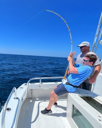 Shark Fishing Charter In Destin