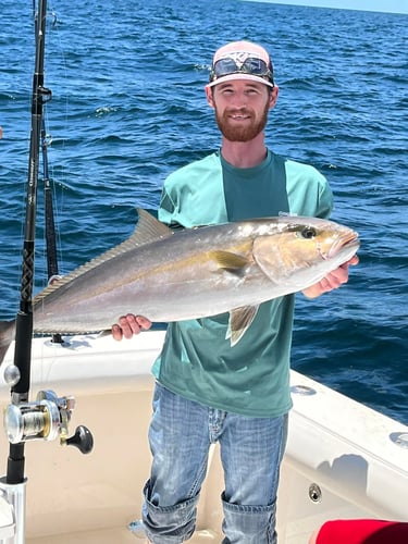 Half Day (6 hr) or Full (8 hr) Day Offshore Data Girl in Gulf Shores
