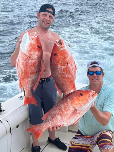 Dauphin Island Offshore Variety Trip - 35' Cabo Express
