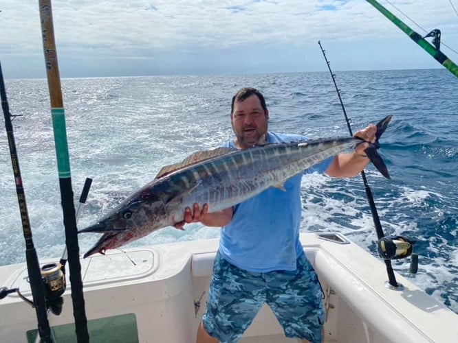 Deep Blue Sportfisher Trophy Trip In Gulf Shores