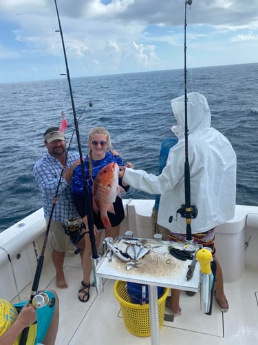 Half Day (6 hr) or Full (8 hr) Day Offshore Data Girl in Gulf Shores