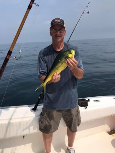 Half Day (6 hr) or Full (8 hr) Day Offshore Data Girl in Gulf Shores