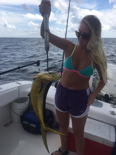 Half Day (6 hr) or Full (8 hr) Day Offshore Data Girl in Gulf Shores