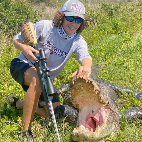 Trophy Gator In Clermont