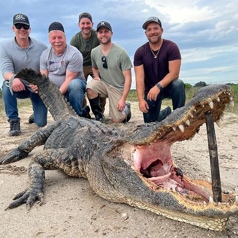 Trophy Gator In Clermont