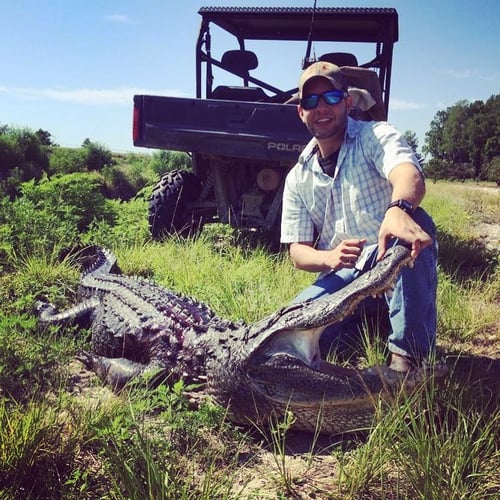 Trophy Gator In Clermont