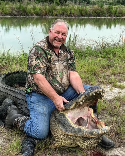 Trophy Gator In Clermont