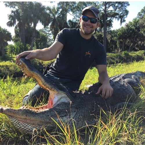 Trophy Gator In Clermont