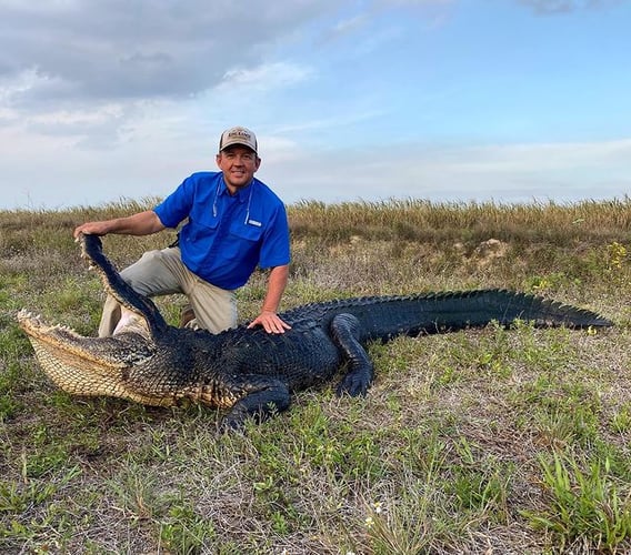 Trophy Gator In Clermont