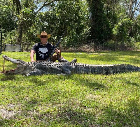 Trophy Gator In Clermont