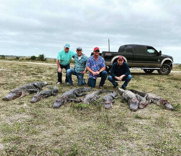 Trophy Gator In Clermont