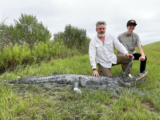 Trophy Gator In Clermont